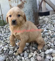 processed/241f5dfd-2e75-4da9-86ef-3ec18df21a82/listing/3bb656b0-e660-4cef-b333-18a7a0454523/c00e08b3-8679-4bcd-b449-e6d8369f7d7d