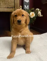 processed/241f5dfd-2e75-4da9-86ef-3ec18df21a82/listing/3bb656b0-e660-4cef-b333-18a7a0454523/df0317d5-17bd-45d5-a297-b9f8731960dc