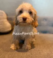 processed/241f5dfd-2e75-4da9-86ef-3ec18df21a82/listing/3dd78c6e-c3de-4af8-b84b-3c5a1814df14/648f5a56-29a2-48c9-9cf8-d7b8a9a2d535