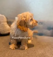 processed/241f5dfd-2e75-4da9-86ef-3ec18df21a82/listing/3dd78c6e-c3de-4af8-b84b-3c5a1814df14/9b1c1055-651e-483e-baea-7750c36db9af