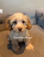 processed/241f5dfd-2e75-4da9-86ef-3ec18df21a82/listing/3dd78c6e-c3de-4af8-b84b-3c5a1814df14/c3bc4b8e-7865-4db6-ad06-18cab9d42f7e