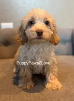 processed/241f5dfd-2e75-4da9-86ef-3ec18df21a82/listing/3dd78c6e-c3de-4af8-b84b-3c5a1814df14/e6f97cea-21b4-4cce-af56-b1a7680677ec