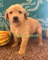 processed/241f5dfd-2e75-4da9-86ef-3ec18df21a82/listing/499b66c5-2c27-4367-9a7f-26d2907c228a/209d7404-d161-4c55-b3fa-5a46452bf620