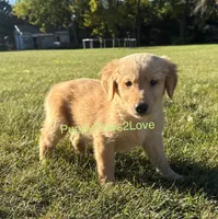 processed/241f5dfd-2e75-4da9-86ef-3ec18df21a82/listing/499b66c5-2c27-4367-9a7f-26d2907c228a/340d0144-24a6-4007-b434-84fda94474d0