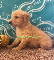 processed/241f5dfd-2e75-4da9-86ef-3ec18df21a82/listing/499b66c5-2c27-4367-9a7f-26d2907c228a/48c2c07a-dcde-49dd-b3c3-ceb0613fc527