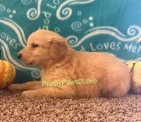 processed/241f5dfd-2e75-4da9-86ef-3ec18df21a82/listing/499b66c5-2c27-4367-9a7f-26d2907c228a/5ad979d7-2097-4a4d-94fd-8d7da6e40d80