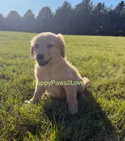 processed/241f5dfd-2e75-4da9-86ef-3ec18df21a82/listing/499b66c5-2c27-4367-9a7f-26d2907c228a/c9d16c94-a8ef-4c25-bdd5-03dc51fce8f7