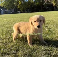 processed/241f5dfd-2e75-4da9-86ef-3ec18df21a82/listing/499b66c5-2c27-4367-9a7f-26d2907c228a/caf62cf8-c4ea-4b99-a17f-d4bac4c5b96b