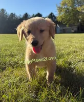 processed/241f5dfd-2e75-4da9-86ef-3ec18df21a82/listing/499b66c5-2c27-4367-9a7f-26d2907c228a/fd204fc5-da1a-4354-81eb-dac6e0a1a66a