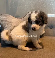 processed/241f5dfd-2e75-4da9-86ef-3ec18df21a82/listing/6b506d88-b624-4c7a-9afc-c52afd5999bf/23290240-28be-4d44-a29f-55d81aa2ef41