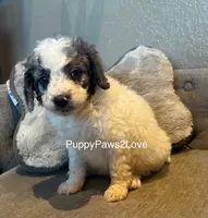 processed/241f5dfd-2e75-4da9-86ef-3ec18df21a82/listing/6b506d88-b624-4c7a-9afc-c52afd5999bf/2bc3eb0c-1fd9-4f5c-8eb4-0254bdf3328a