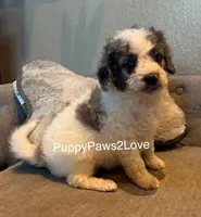 processed/241f5dfd-2e75-4da9-86ef-3ec18df21a82/listing/6b506d88-b624-4c7a-9afc-c52afd5999bf/58008f7f-a3d1-4862-90b9-0100cee14abb