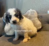 processed/241f5dfd-2e75-4da9-86ef-3ec18df21a82/listing/6b506d88-b624-4c7a-9afc-c52afd5999bf/988cb63a-1ea6-4f98-b590-70fc9097285d