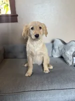 processed/241f5dfd-2e75-4da9-86ef-3ec18df21a82/listing/71540325-8c08-4164-8eb2-a4b3a6363a79/1722f342-72b8-4831-a028-ad20f74a4612