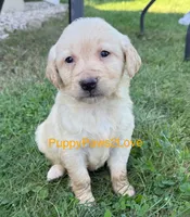 processed/241f5dfd-2e75-4da9-86ef-3ec18df21a82/listing/71540325-8c08-4164-8eb2-a4b3a6363a79/4a65f153-fbf7-4818-b3ce-e2a07d2b7457