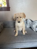 processed/241f5dfd-2e75-4da9-86ef-3ec18df21a82/listing/71540325-8c08-4164-8eb2-a4b3a6363a79/c11012ac-331e-4c58-9704-fb66410e4d9b