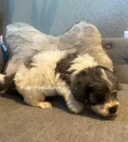 processed/241f5dfd-2e75-4da9-86ef-3ec18df21a82/listing/73e531d0-da03-48c0-87e2-ae7e131ae027/c1d3eebc-c531-477a-848f-de044907ccb7