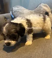 processed/241f5dfd-2e75-4da9-86ef-3ec18df21a82/listing/73e531d0-da03-48c0-87e2-ae7e131ae027/c527aa10-de16-4305-9ff6-a321604e04f5