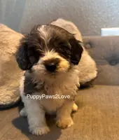 processed/241f5dfd-2e75-4da9-86ef-3ec18df21a82/listing/73e531d0-da03-48c0-87e2-ae7e131ae027/e34c53fa-48d8-4f59-9080-5f24b505a1a8