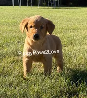 processed/241f5dfd-2e75-4da9-86ef-3ec18df21a82/listing/bc14ff5b-d878-41e4-80fb-a6fea7ddc97b/1938382d-5721-405d-82ba-165b034e0741