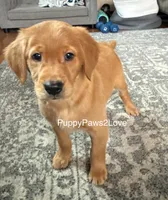 processed/241f5dfd-2e75-4da9-86ef-3ec18df21a82/listing/bc14ff5b-d878-41e4-80fb-a6fea7ddc97b/8f304e4e-a2c3-42c9-85b0-2b236e9fb4c5