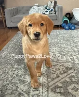 processed/241f5dfd-2e75-4da9-86ef-3ec18df21a82/listing/bc14ff5b-d878-41e4-80fb-a6fea7ddc97b/926cae7c-9047-4b30-8722-97ae5403596e