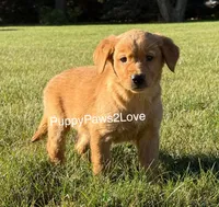 processed/241f5dfd-2e75-4da9-86ef-3ec18df21a82/listing/bc14ff5b-d878-41e4-80fb-a6fea7ddc97b/96162d21-487f-4c2c-998b-05b0f9b2c99c