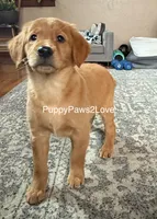 processed/241f5dfd-2e75-4da9-86ef-3ec18df21a82/listing/bc14ff5b-d878-41e4-80fb-a6fea7ddc97b/fab81ce2-3b59-4f73-ab63-0b20bff9adcd