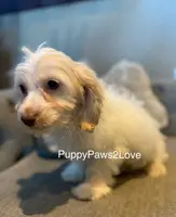 processed/241f5dfd-2e75-4da9-86ef-3ec18df21a82/listing/dd32e4ac-1b41-4b5f-8547-e97eac1472e9/4bd8250b-d2b3-4988-889c-f22e4b903cd4