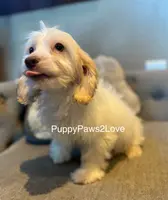 processed/241f5dfd-2e75-4da9-86ef-3ec18df21a82/listing/dd32e4ac-1b41-4b5f-8547-e97eac1472e9/701f38cd-44c6-4338-913b-81b19de581d6