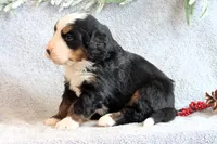 processed/2425b2b0-2497-4b5f-912e-ed1535f0b608/listing/568412ad-6986-49dd-8bdf-d5645d96ef49/3a9de355-2e2c-49d5-8241-45613b5c70fd