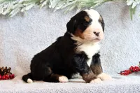 processed/2425b2b0-2497-4b5f-912e-ed1535f0b608/listing/568412ad-6986-49dd-8bdf-d5645d96ef49/4d0d0886-478b-4da0-b66c-aeddad51ce0d