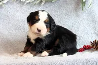 processed/2425b2b0-2497-4b5f-912e-ed1535f0b608/listing/568412ad-6986-49dd-8bdf-d5645d96ef49/dc6629e6-1a6f-4dfc-b162-7514e4fae638