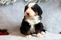 processed/2425b2b0-2497-4b5f-912e-ed1535f0b608/listing/568412ad-6986-49dd-8bdf-d5645d96ef49/e5def051-bad6-4b31-b5c8-43e5e39b8b19