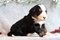 processed/2425b2b0-2497-4b5f-912e-ed1535f0b608/listing/568412ad-6986-49dd-8bdf-d5645d96ef49/ebd7a746-895a-4bf6-bb5b-10a5e0189f87