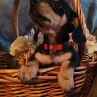 processed/242b1bcc-73dd-48ba-a3ee-00c004f7c946/facility/2cfa89c0-5033-4925-bd2c-d0d6e9a37341