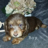 processed/242b1bcc-73dd-48ba-a3ee-00c004f7c946/facility/48f75df5-c100-4b65-b676-bfdbef01e179