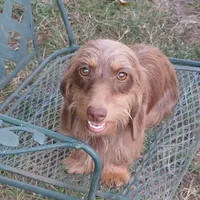 processed/242b1bcc-73dd-48ba-a3ee-00c004f7c946/facility/6e83f5e9-10d9-44ce-a96c-c55d9bfeebea