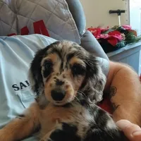 processed/242b1bcc-73dd-48ba-a3ee-00c004f7c946/facility/8d8c1ee1-2e07-4762-b562-93134b40d81d