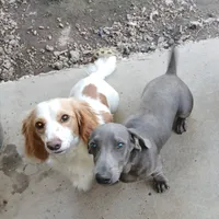 processed/242b1bcc-73dd-48ba-a3ee-00c004f7c946/facility/95de13d0-b80d-40f5-88d2-06c0c9c4c311