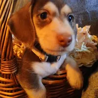 processed/242b1bcc-73dd-48ba-a3ee-00c004f7c946/facility/a62dd9f8-29c9-4a88-8e4a-d80570e74d54