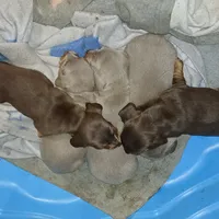 processed/242b1bcc-73dd-48ba-a3ee-00c004f7c946/facility/b5ec03d6-3cc8-46fe-b553-61856f42f36f