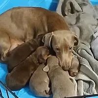 processed/242b1bcc-73dd-48ba-a3ee-00c004f7c946/facility/c2e446ad-4d56-4d75-8fe4-6b187b125a52