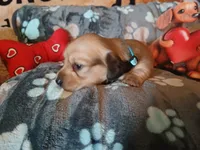 processed/242b1bcc-73dd-48ba-a3ee-00c004f7c946/listing/37e45e98-3246-484e-88bd-6dcbf824fd89/16640840-3124-41b4-8a39-ac78982c69fa