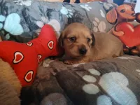 processed/242b1bcc-73dd-48ba-a3ee-00c004f7c946/listing/37e45e98-3246-484e-88bd-6dcbf824fd89/322bd790-6a76-4244-b560-9bfec522d359