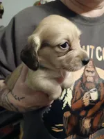 processed/242b1bcc-73dd-48ba-a3ee-00c004f7c946/listing/37e45e98-3246-484e-88bd-6dcbf824fd89/8b90abaa-b4f5-44e3-80cc-238fc46a724f