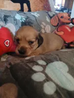 processed/242b1bcc-73dd-48ba-a3ee-00c004f7c946/listing/37e45e98-3246-484e-88bd-6dcbf824fd89/8bb6c8bb-a632-4dca-909d-7b01b1aea9b6