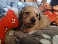 processed/242b1bcc-73dd-48ba-a3ee-00c004f7c946/listing/37e45e98-3246-484e-88bd-6dcbf824fd89/a7b9f0b1-2fea-4282-923c-dfa69a33c6dd