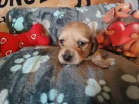 processed/242b1bcc-73dd-48ba-a3ee-00c004f7c946/listing/37e45e98-3246-484e-88bd-6dcbf824fd89/e5989f16-e081-42ec-bb4d-5d1b0213402d