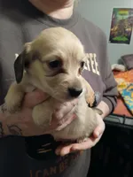 processed/242b1bcc-73dd-48ba-a3ee-00c004f7c946/listing/37e45e98-3246-484e-88bd-6dcbf824fd89/f7ceb628-d747-4d9b-a8ab-d5eab9e2d0ba